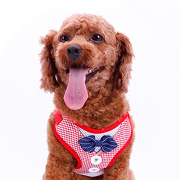 Pet Clothing with Traction Rope Set